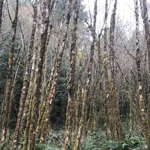 Meet your Posher, Alberto